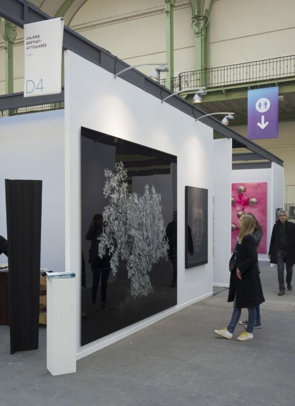 Art Paris 2013 _a