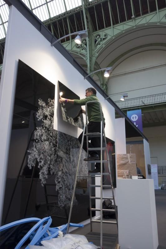 Art Paris 2013 _b