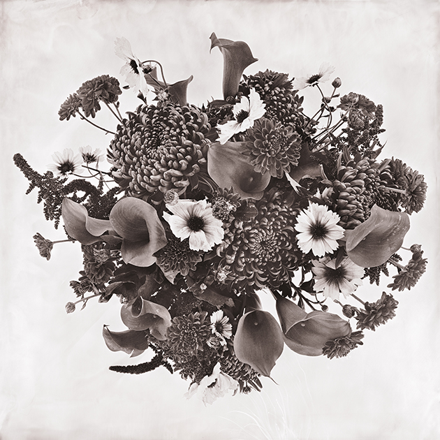 Fleur XIII