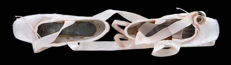 Chaussons d'Agnes Letestu