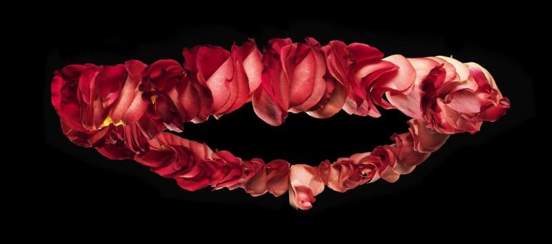 Couronne de Roses