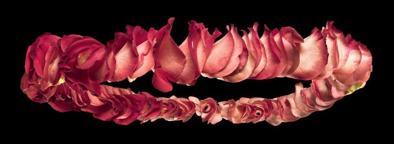 Couronne Rose 03