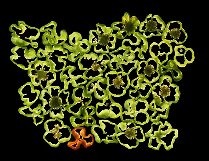 Piment-Vert-01 024