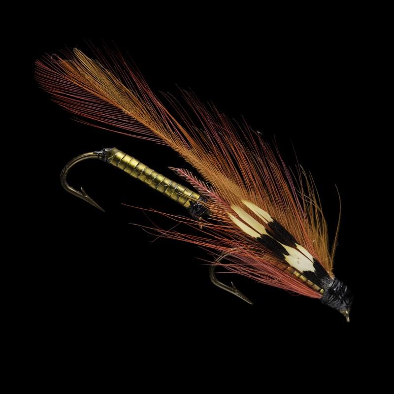 1510_mouche-70-2