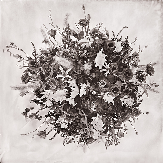 Fleur VII