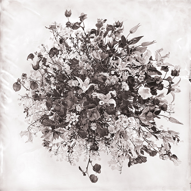 Fleur VIII